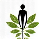 Icon representing holistic wellness focus with a balanced human figure surrounded by natural elements.